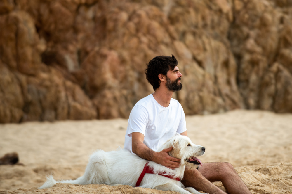 cbd for anxiety cbc para la ansiedad